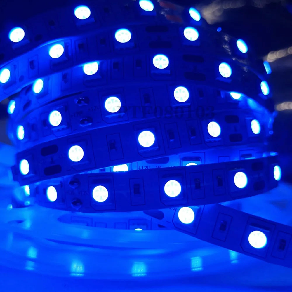 LED Strip 5050 DC 12V 24V RGB Warm White 5 Meter Flexible Light Stripe