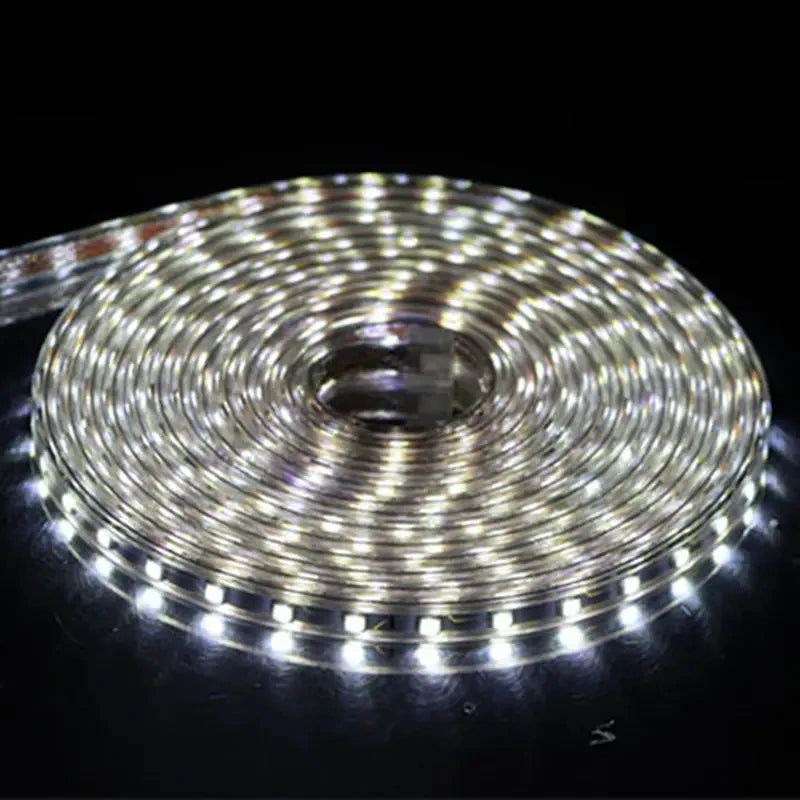 AC 220V Eu Plug In LED Strips Light SMD 5050 60LEDS/M IP65