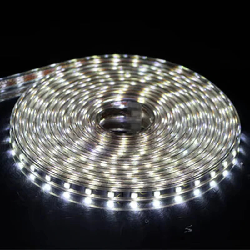 AC 220V Eu Plug In LED Strips Light SMD 5050 60LEDS/M IP65