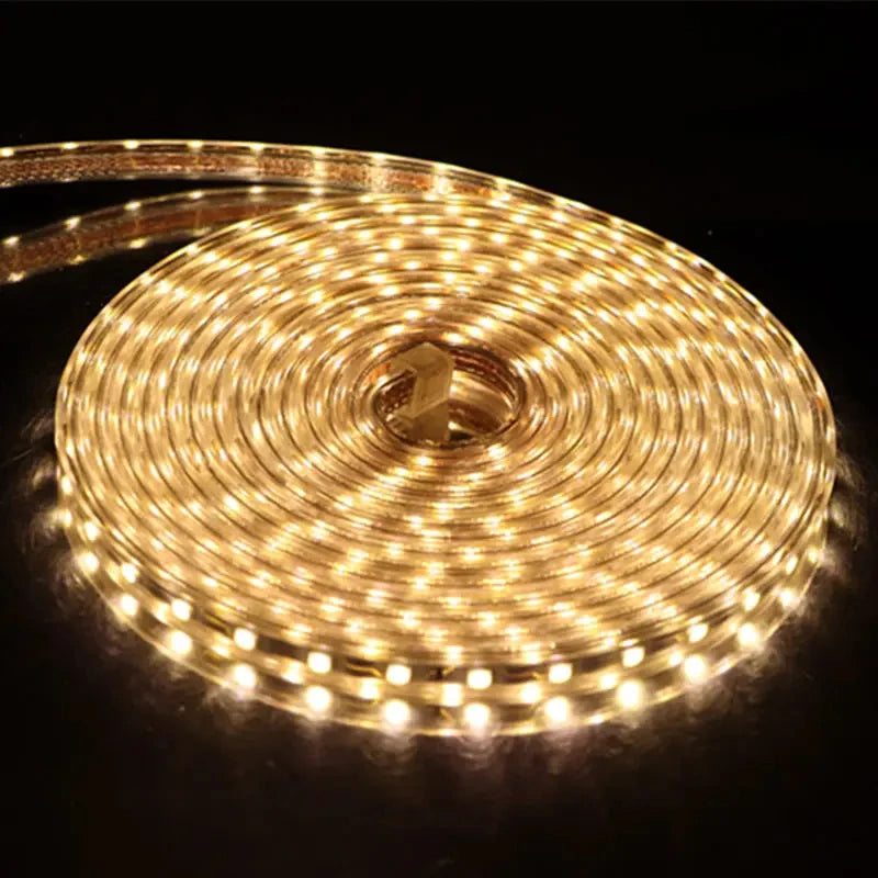 AC 220V Eu Plug In LED Strips Light SMD 5050 60LEDS/M IP65