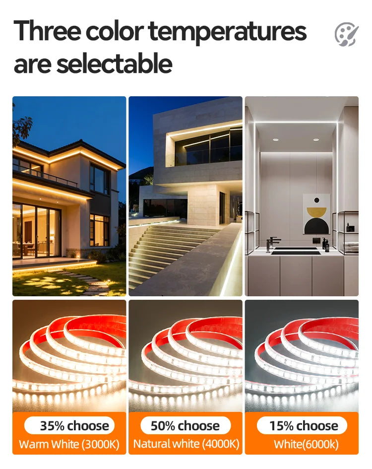 AC 220V LED Strip Light Waterproof Flexible Ribbon Tape