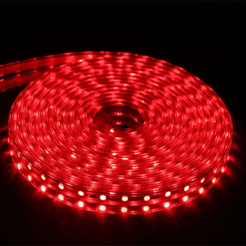 AC 220V Eu Plug In LED Strips Light SMD 5050 60LEDS/M IP65