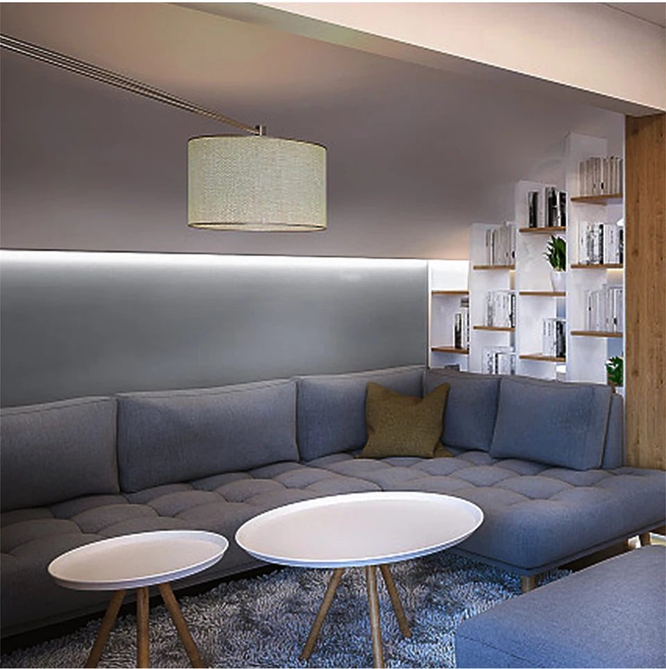 10M 20M 30M COB Neon Strip Light 288LEDs/M Pure Silicone