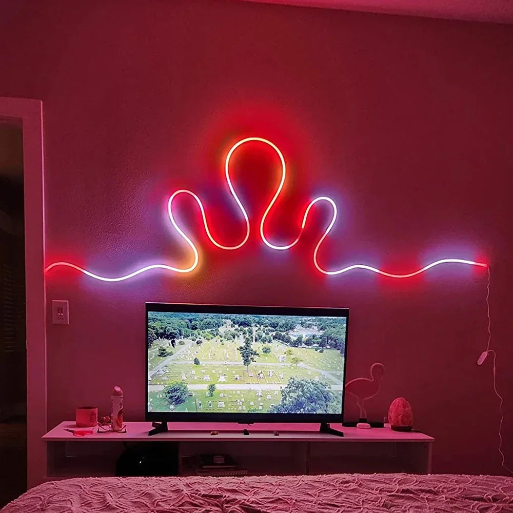 RGB LED Neon Lights with 44Keys Remote Flexible Neon Strip Lights