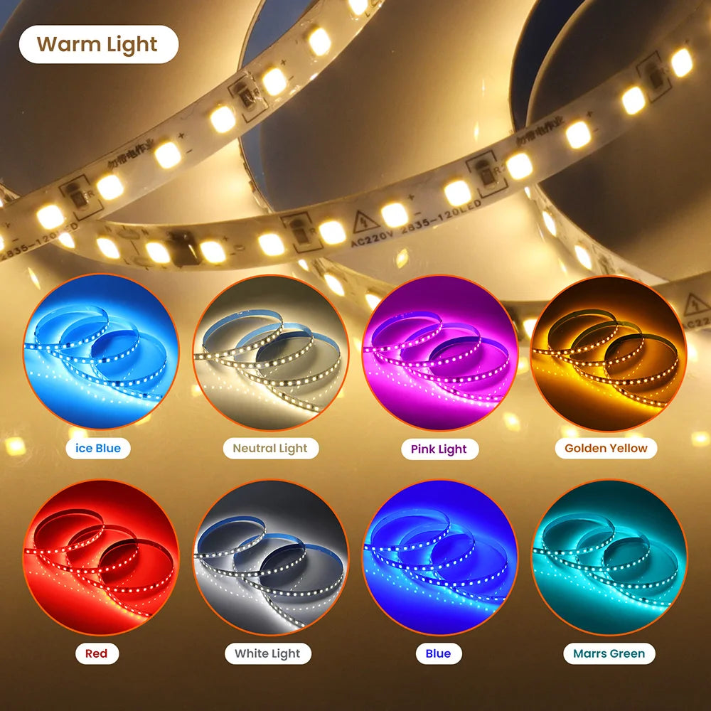 5m 10m 20m 50m Led Strip Light Waterproof IP44 220V 230V