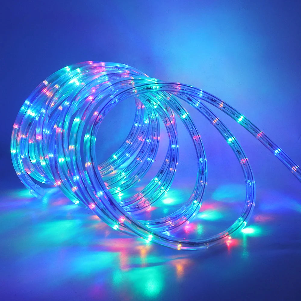 220V Neon Strip Light 360 Rainbow Tube Flex Neon Sign