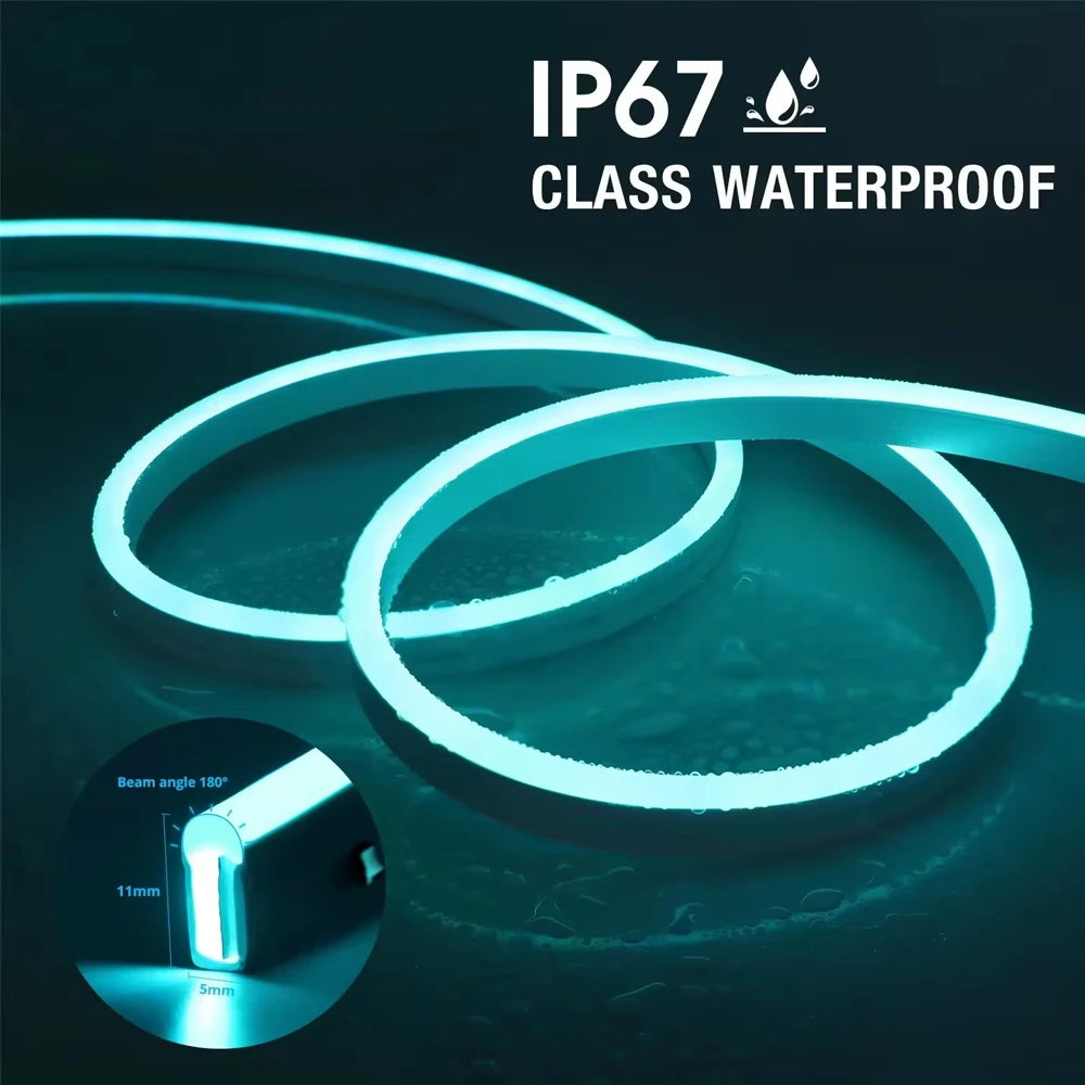 Tuya Wifi Plug RGBIC LED Neon Strip Lights Decoration Lighting