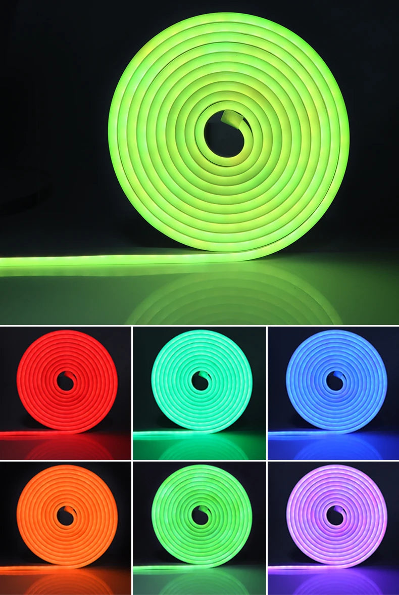 Tuya Smart Life 12V RGB Neon Light LED Strip Voice Control