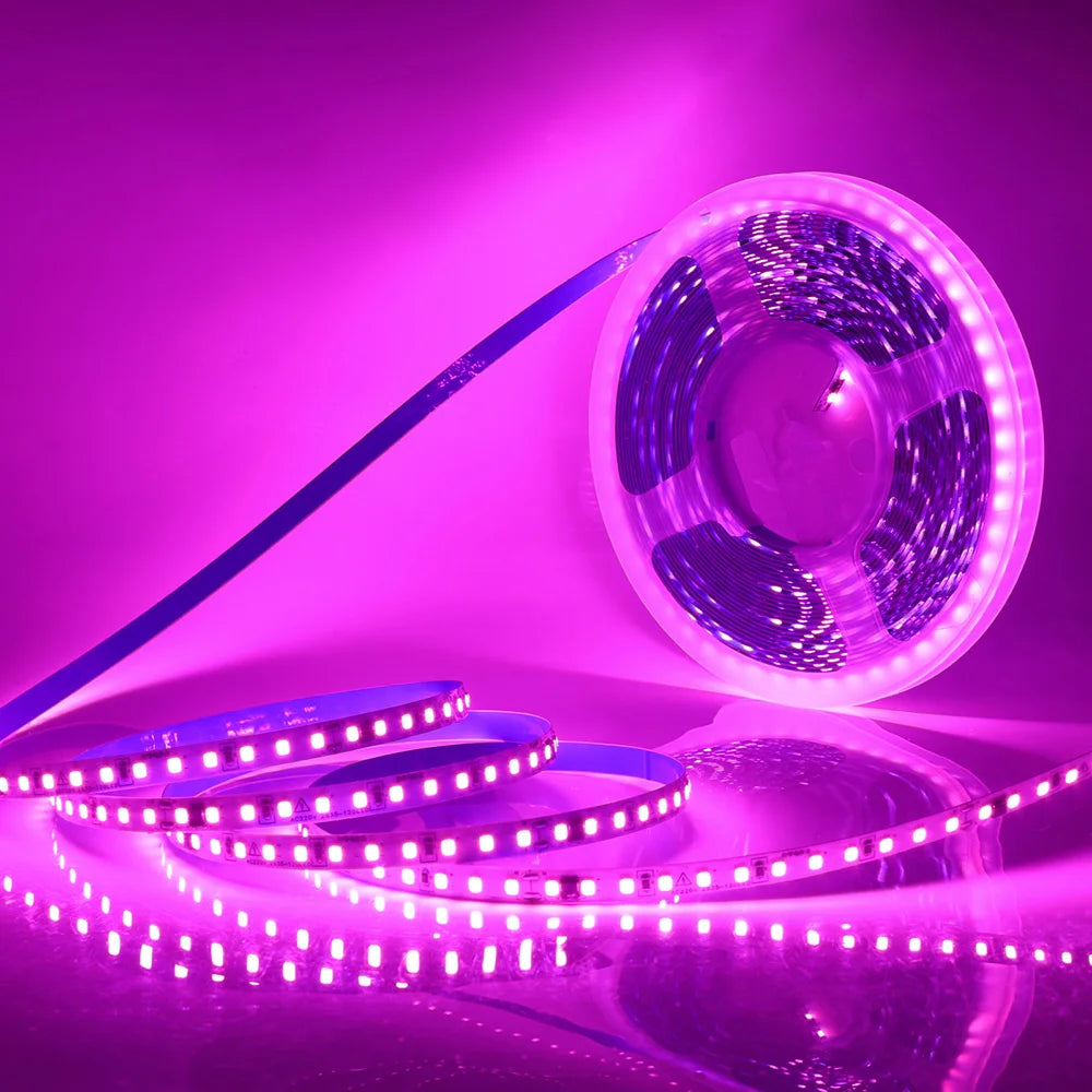 5m 10m 20m 50m Led Strip Light Waterproof IP44 220V 230V