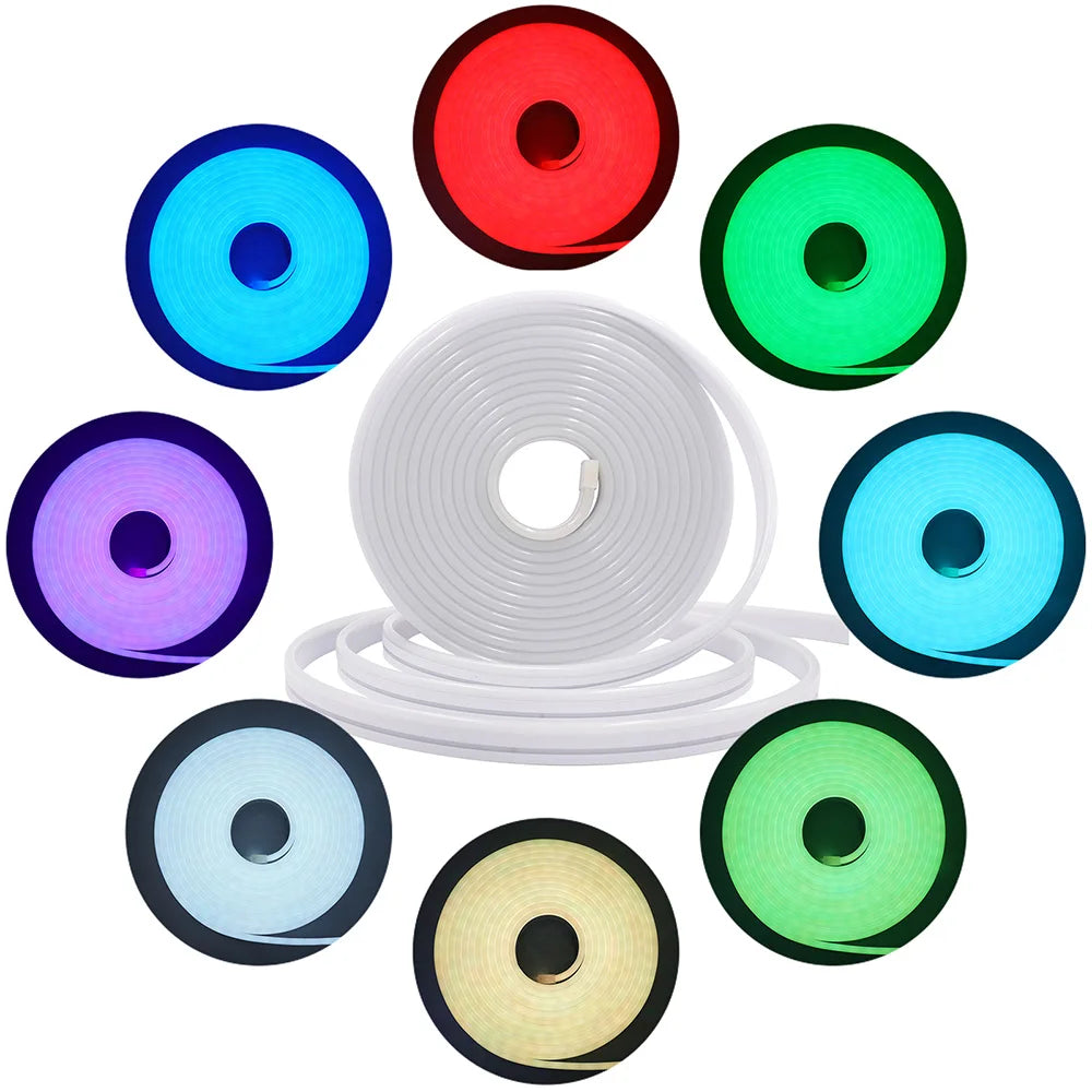 EU Plug DC24V 3535 RGB Neon LED Strip Bluetooth Music Sync