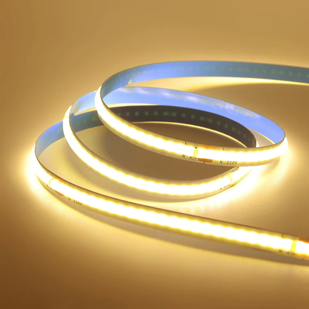 220V 110V COB LED 5m 10m 20m 50m Strip Light 2pin Power Kit