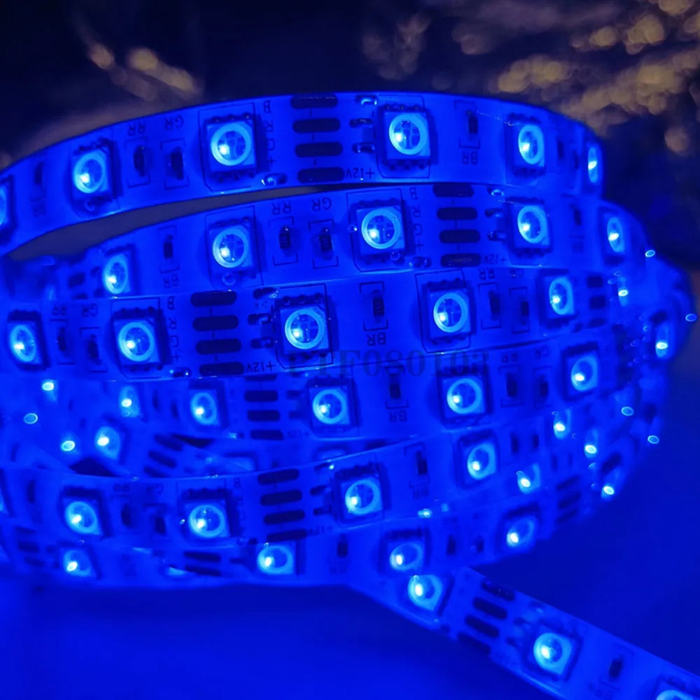 LED Strip 5050 DC 12V 24V RGB Warm White 5 Meter Flexible Light Stripe