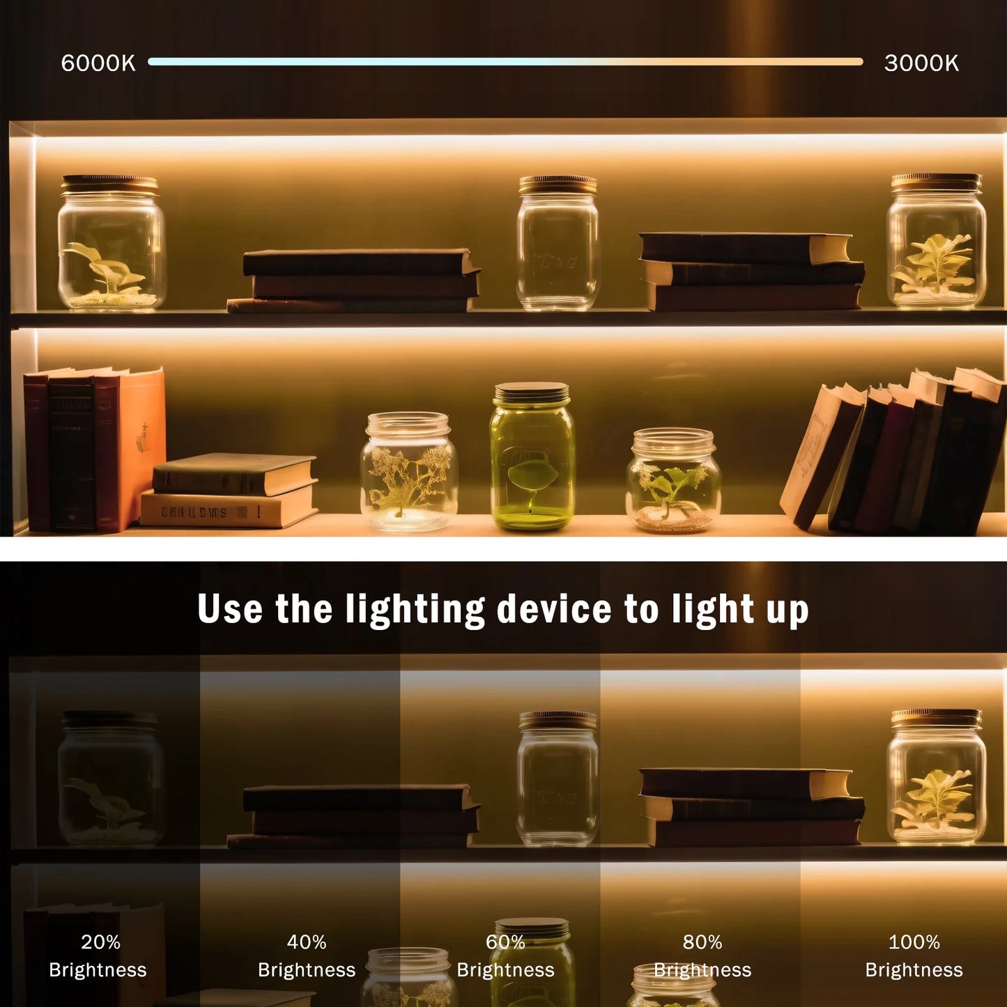 COB LED Strip Light With EU Switch/Dimmer Plug