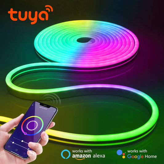 Tuya Smart Life 12V RGB Neon Light LED Strip Voice Control