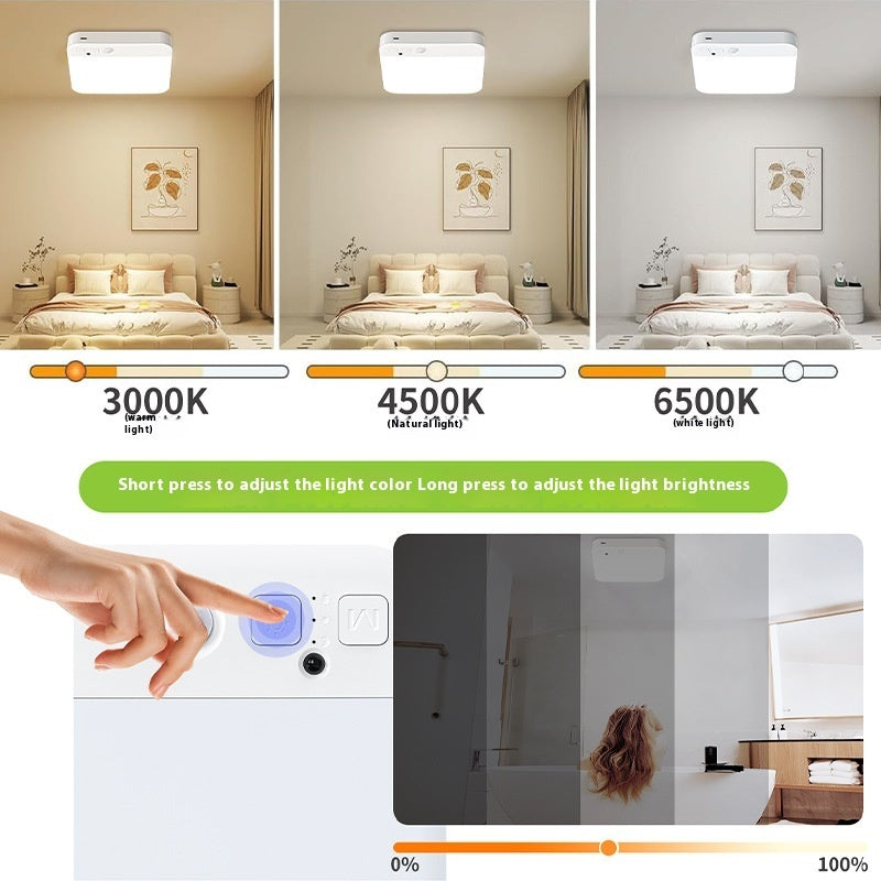 Ceiling Lamp Led Induction Corridor Sensor Lamp