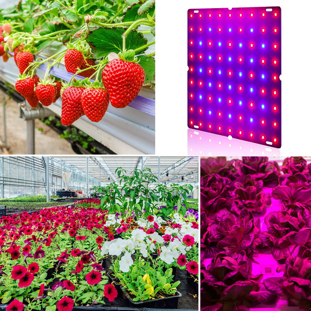 Fruits Vegetables Melons And Fruits Planting Lights Can Be Hooked