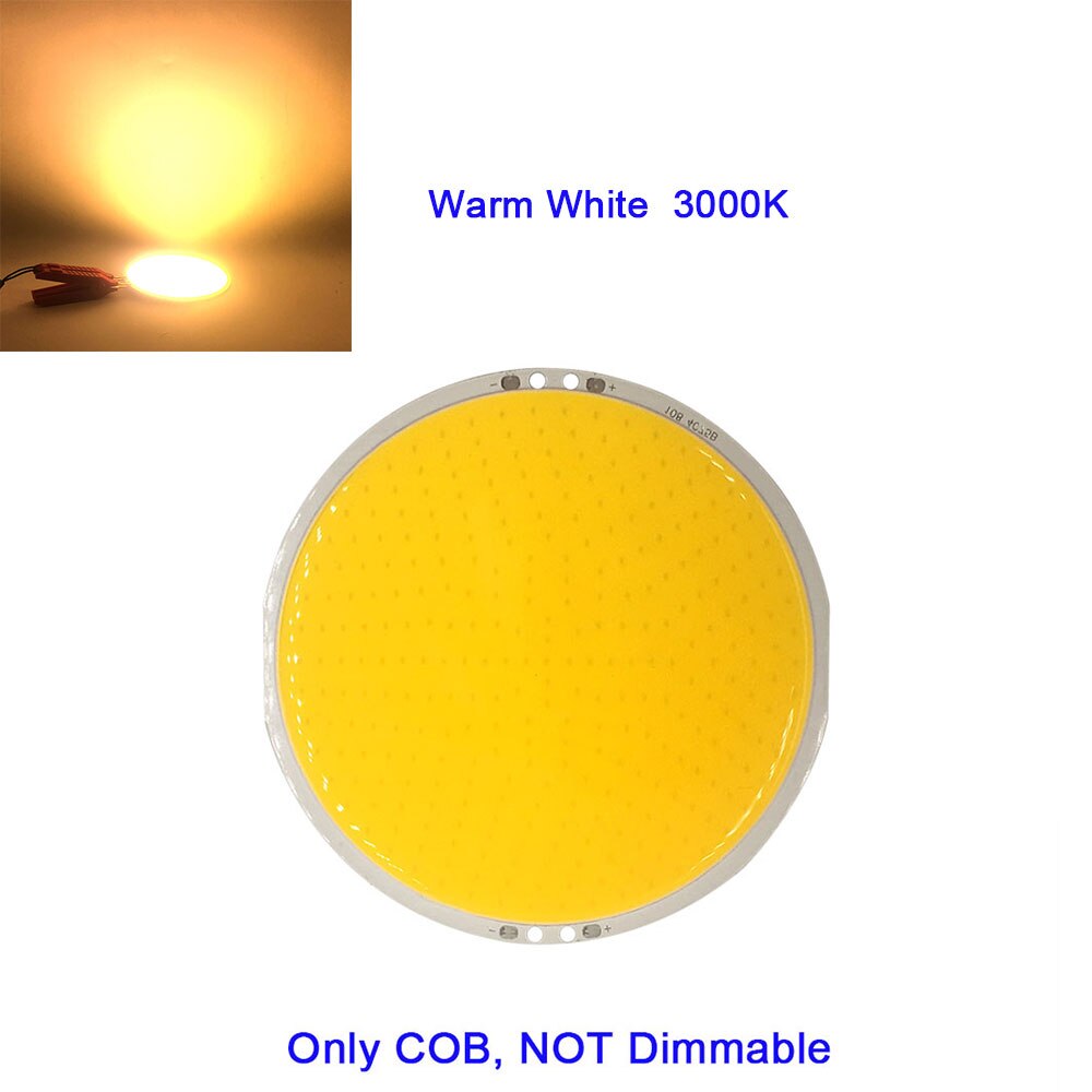 DC12V Dimmable Round COB LED Lamp