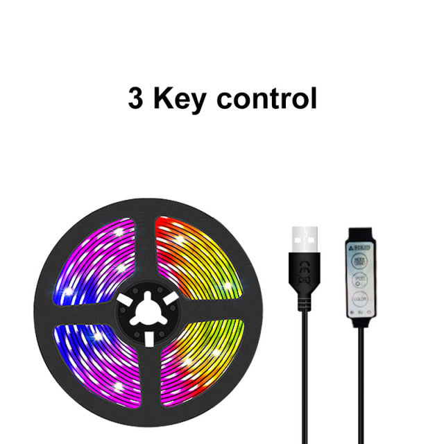 LED Strip Light RGB USB Flexible Lamp Tape Diode USB Cable Bluetooth Control
