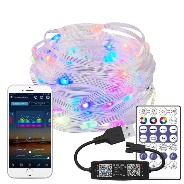 Christmas RGB LED String Lights Addressable Individually IC Dream Color